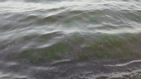 Sea ​​waves on a beautiful beach Stock Footage 225201181