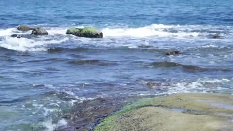 The sea waves break on the rocks. The waters of the sea are raging. Medium shot Stock Footage 314979094