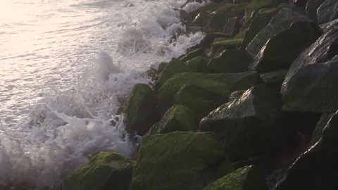 Sea Waves Breaking On mossy Rock - Slow Motion Vídeo Stock 79475209
