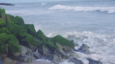 Sea Waves Breaking On mossy Rock - Slow Motion 動画素材 79475285