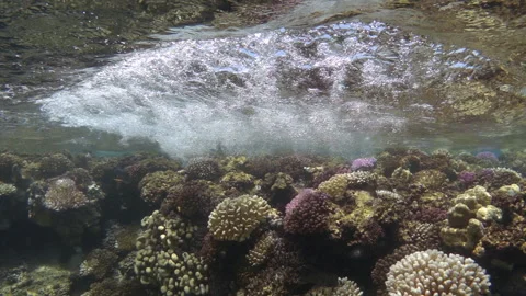 Sea waves breaking over coral reef, underwater slow motion. Stock video footage Stock Footage 302759353