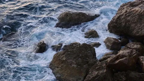 Sea waves breaking on rocks on the coastline and the seagulls flying near, 4k. Stock Footage 228809022