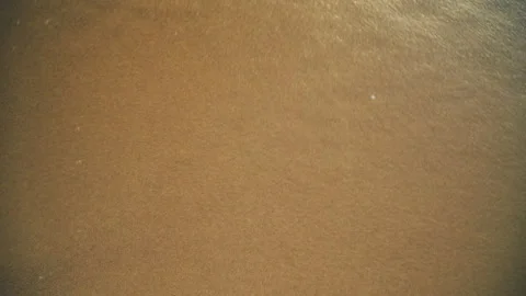 Sea waves breaking on sandy beach Stock Footage 164513614