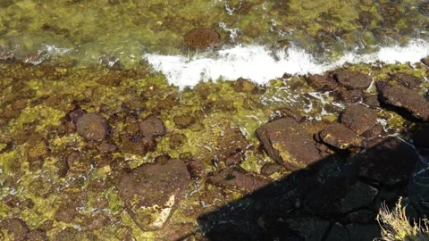 Sea waves breaking with white foam over rocky shore covered with algae and brown Stock Footage 341702306