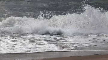 Sea waves close-up on a sandy beach Stock-Footage 85699277