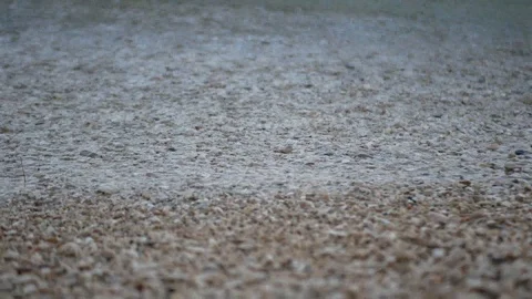 Sea waves coming on beach closeup Stock Footage 112802603