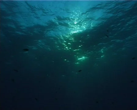 Sea waves (D186) 動画素材 150504