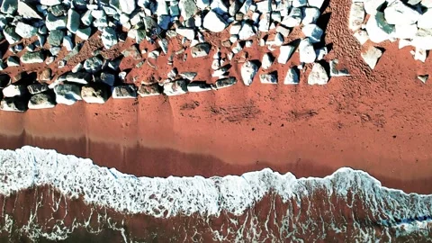 Sea waves with dog Stock Footage 168618350