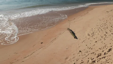 Sea waves dying on the beach Stock Footage 105396796