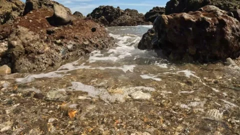 Sea waves enter between the coral reefs Stock Footage 319805234