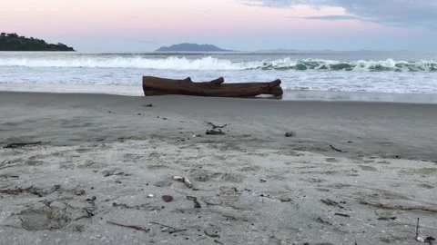 Sea waves flowing in towards an abandoned tree trunk Video stock 173605539