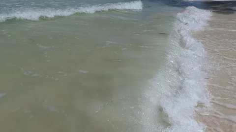 Sea waves with foam, background. Restless dirty water. Stock Footage 88386545