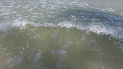 Sea waves with foam, background. Restless dirty water. Stock Footage 88387062