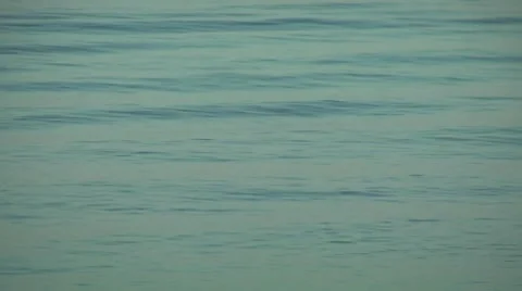 Sea waves. Stock Footage 8835406