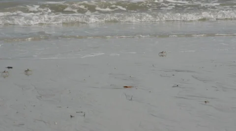 Sea waves 库存影片 28012334