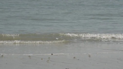 Sea waves 库存影片 28012381