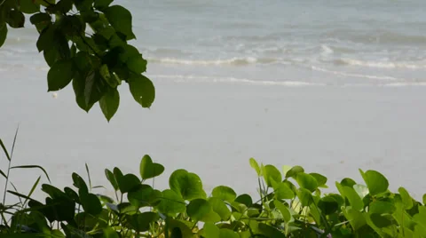 Sea waves 库存影片 28012756