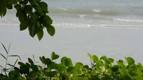 Sea waves 库存影片 28012782