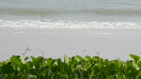 Sea waves 库存影片 28012815