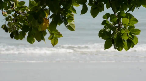 Sea waves 库存影片 28012837