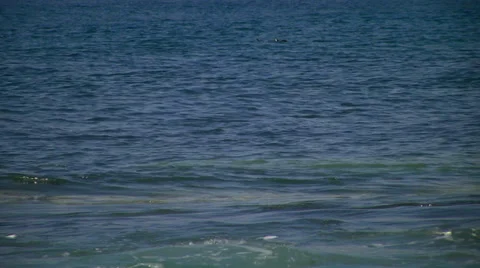 Sea waves Stock Footage 37203679