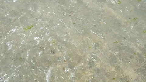 Sea waves Stock Footage 73337364