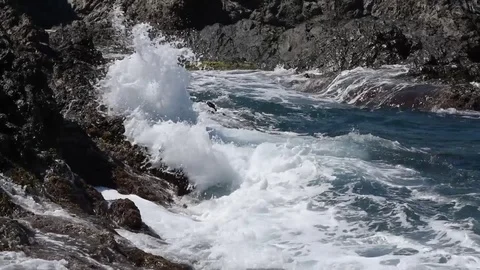 Sea waves Stock Footage 75827029