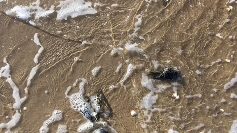 Sea waves Video stock 86656302