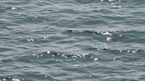 Sea Waves. Video stock 91027678