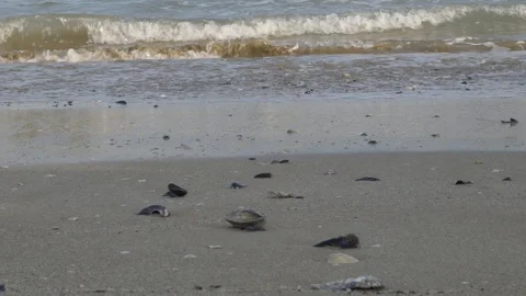 Sea ​​waves. Stock Footage 122212689