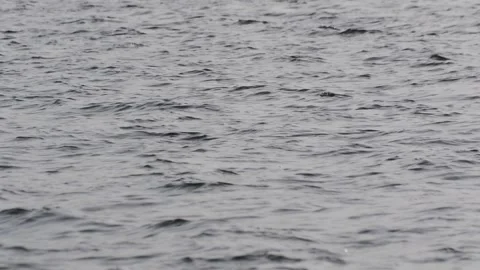 Sea waves 库存影片 158016484