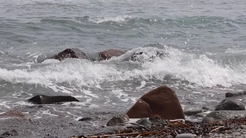 Sea, waves... 스톡 동영상 199750667