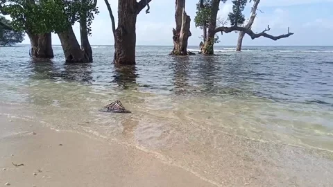 Sea waves Stock Footage 231036253