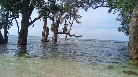 Sea waves Stock Footage 231036514