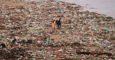 Sea waves full of litter hitting the beach. Huge dump in tropical paradise. M Stock Footage 127432540