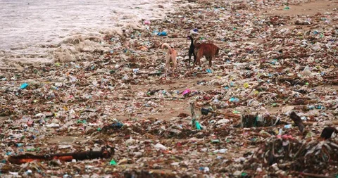 Sea waves full of litter hitting the beach. Huge dump in tropical paradise. M Video stock 127433713