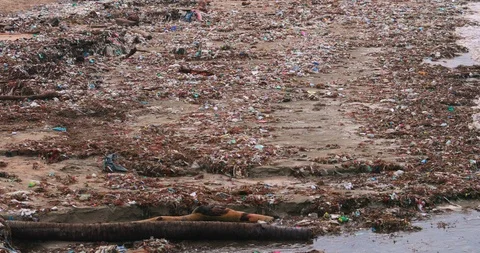 Sea waves full of litter hitting the beach. Huge dump in tropical paradise. M Stock Footage 127438642