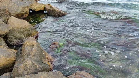 Sea waves gently roll over textured, mossy stones on a rocky shoreline Vídeos de archivo 335045455