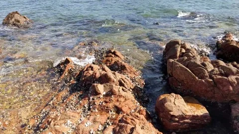Sea waves hit rocks on a beach Stock Footage 145927358