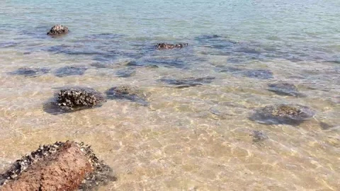Sea waves hit rocks on a beach 库存影片 145927360