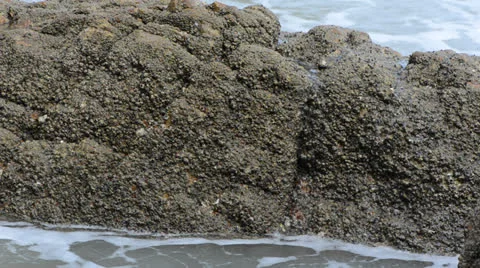 Sea waves hit the rocks 库存影片 27103988