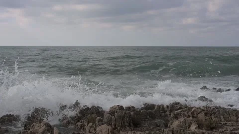 Sea waves horizon view and cormorant Stock Footage 167686331