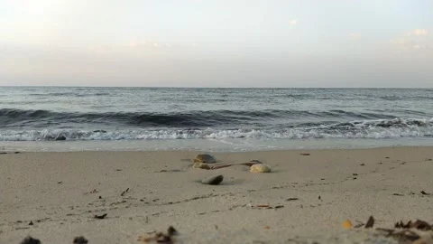 Sea waves laden with algae that break on the shore, and wet the stones (part 2) 動画素材 137240496