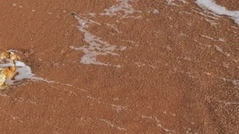 Sea waves movement on the beach Video stock 260172067