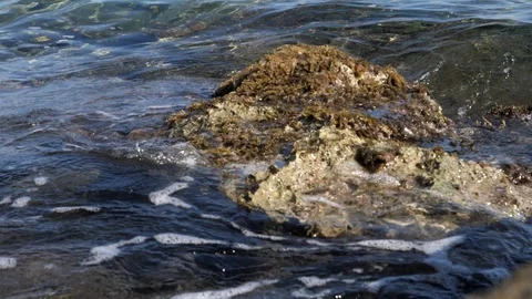 Sea waves over rock - slow mo 스톡 동영상 129199333