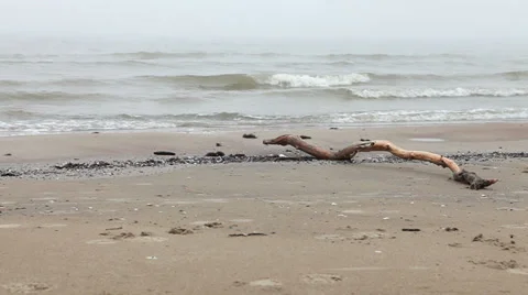 Sea waves over sand beach untouched nature Stock Footage 36740825