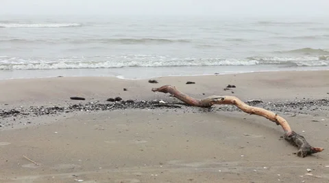 Sea waves over sand beach untouched nature Stock Footage 36741028