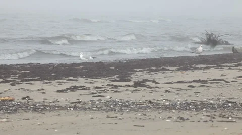 Sea waves over sand beach Stock Footage 37218423