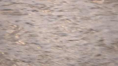 Sea waves over sandy beach at golden sunset hours. 4K Vidéo 72116520