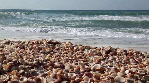 Sea waves over Seashell Stack Looped Stockbeeldmateriaal 46525891